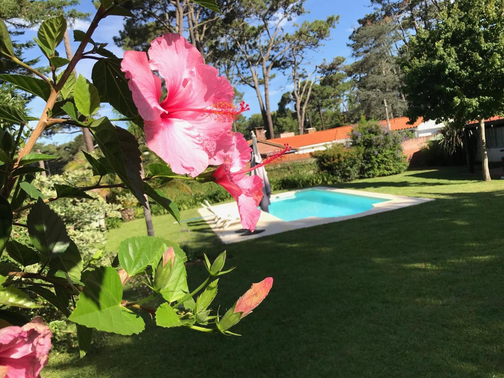 El Gauchito Punta del Este Exterior foto